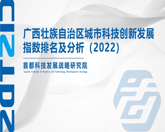 日本尻屄【成果发布】广西壮族自治区城市科技创新发展指数排名及分析（2022）